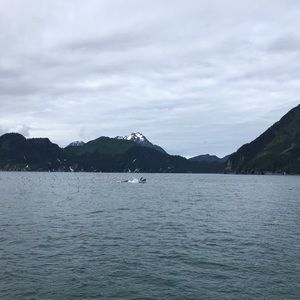 Meet your Posher, Payton